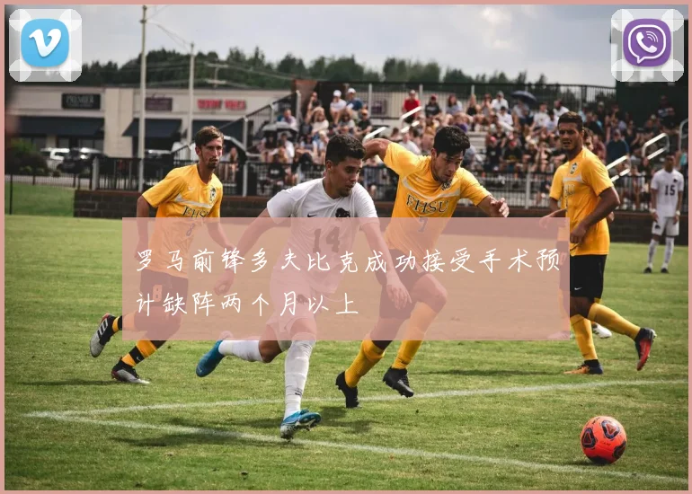 罗马前锋多夫比克成功接受手术预计缺阵两个月以上
